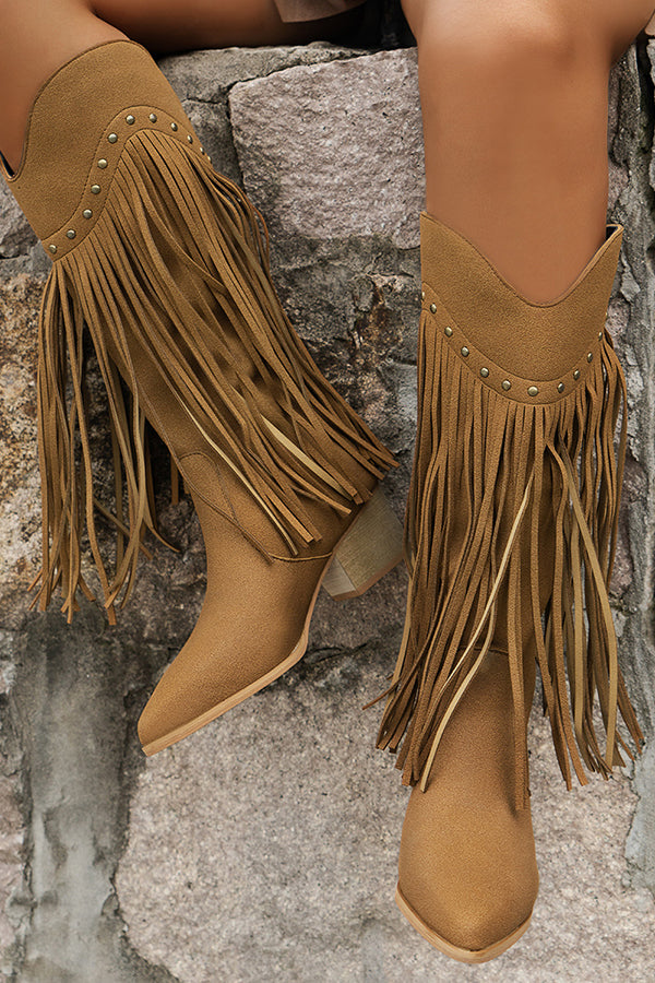 Western Tassel Pointed Toe Chunky Heel Boots