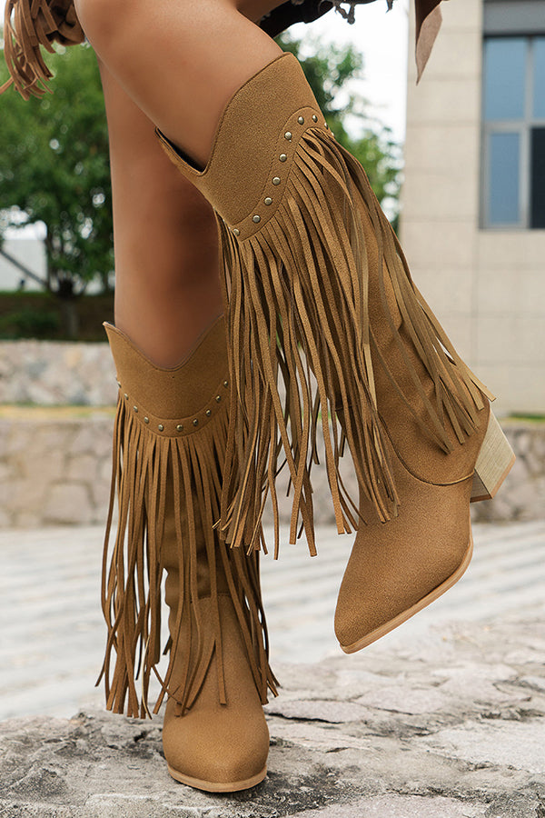 Western Tassel Pointed Toe Chunky Heel Boots